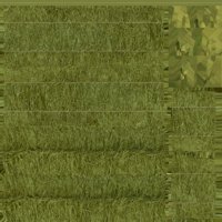 Asset preview